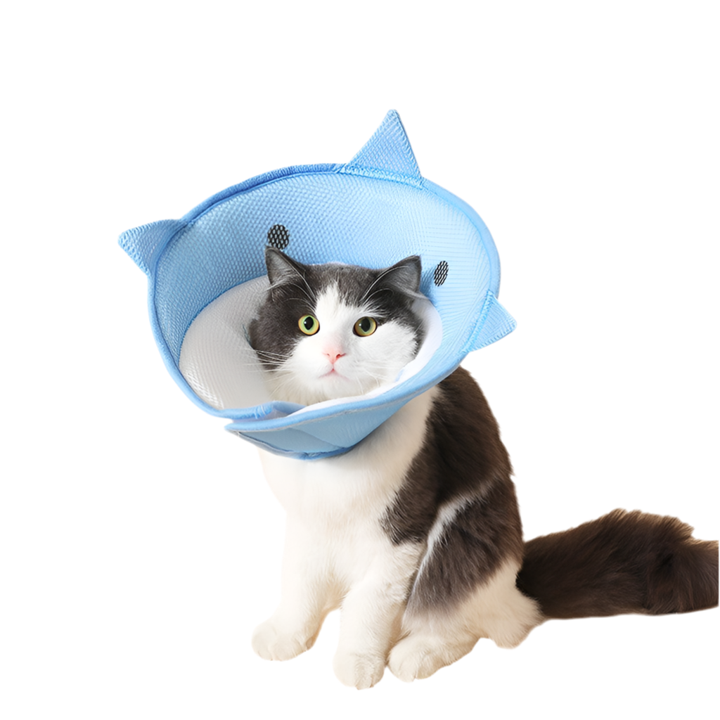 Cono di protezione, design “squalo”