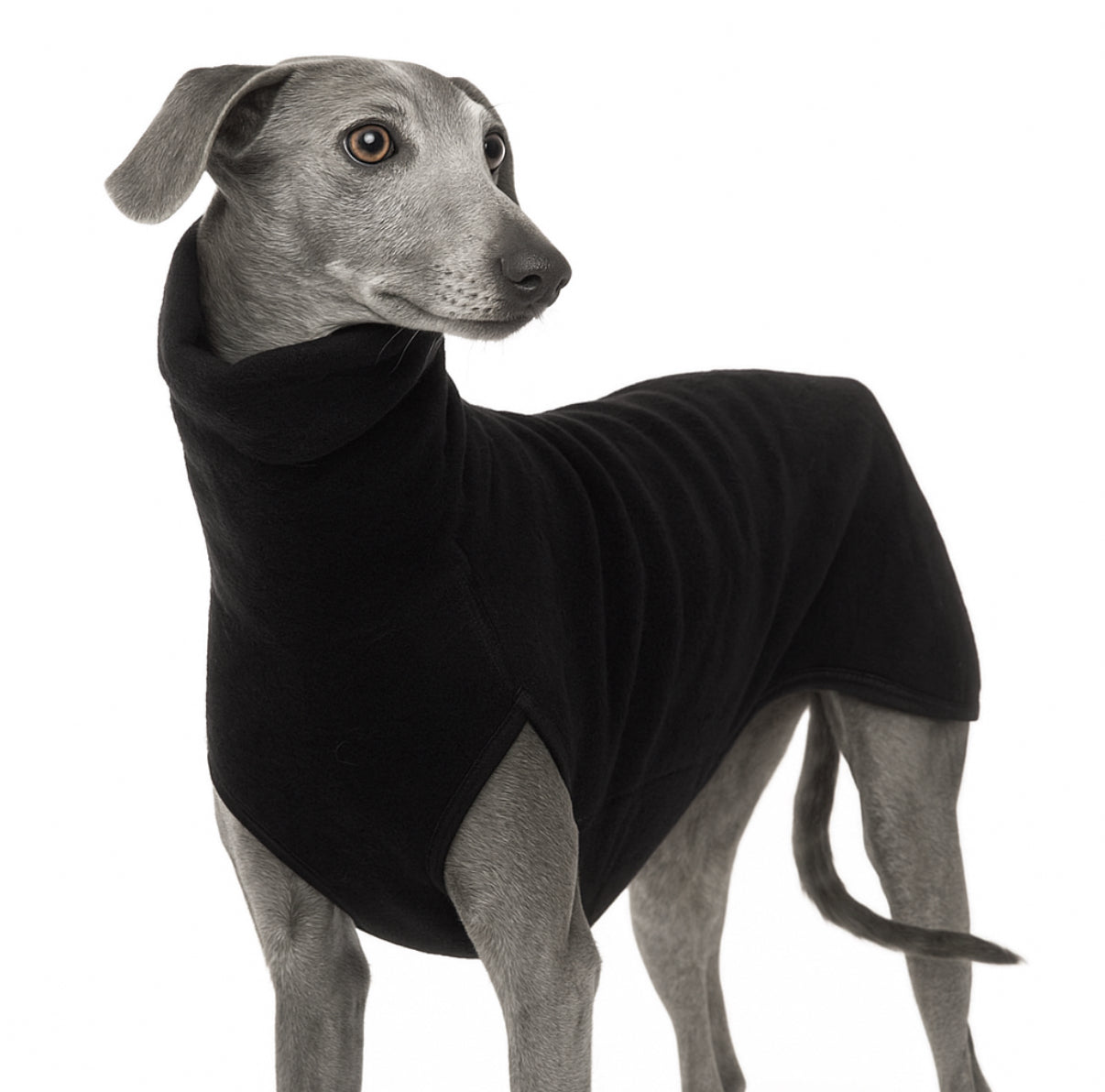 Dolce vita total black “cool” taglia dalla S alla 4XL