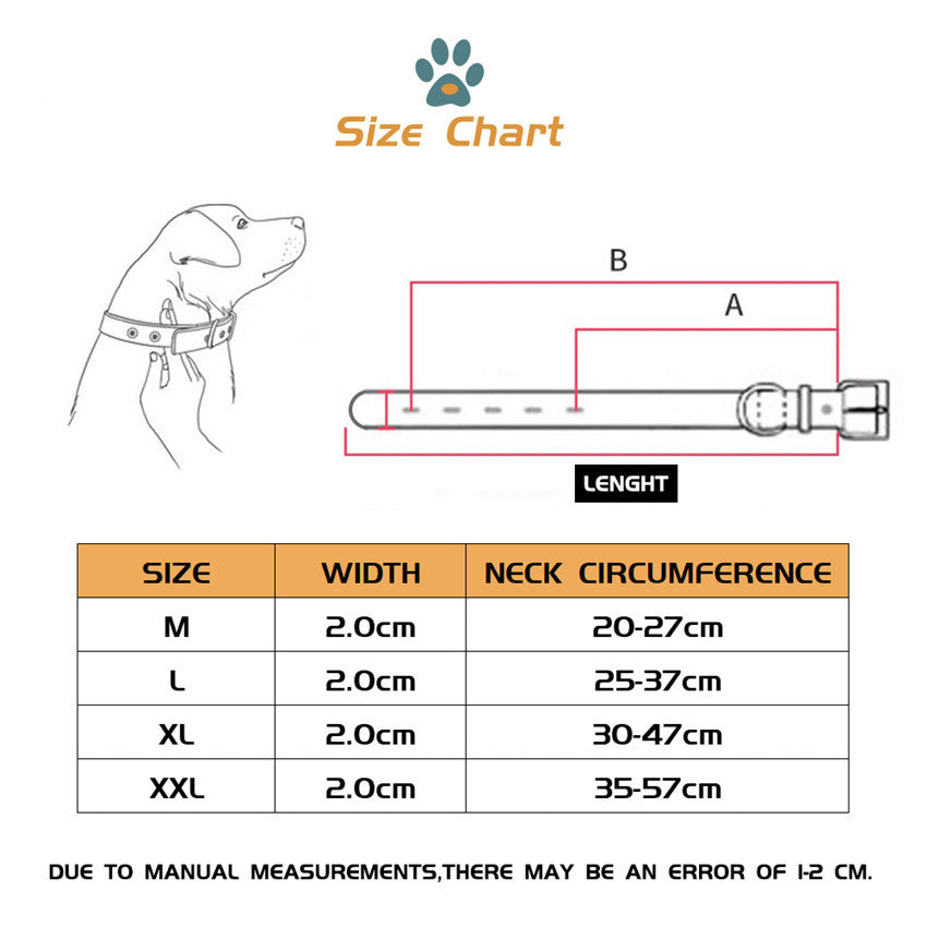 Collare "OUT" + Guinzaglio coordinato