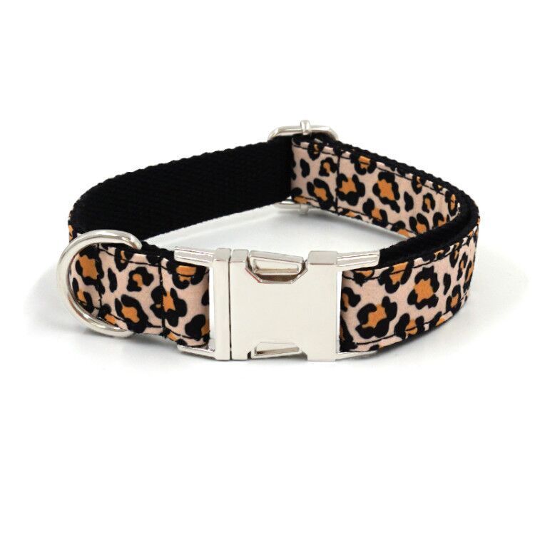 Collare stampa leopardata “wow” dalla XS alla L